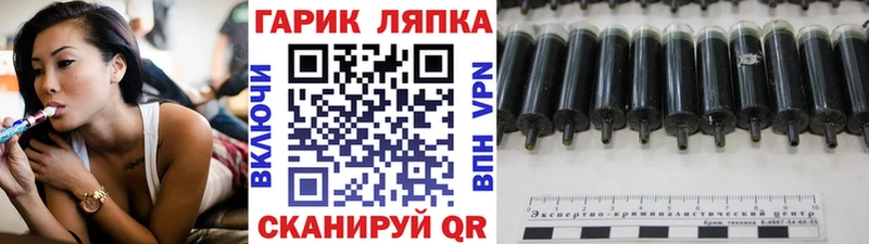 это Telegram Гороховец ГАШ убойный